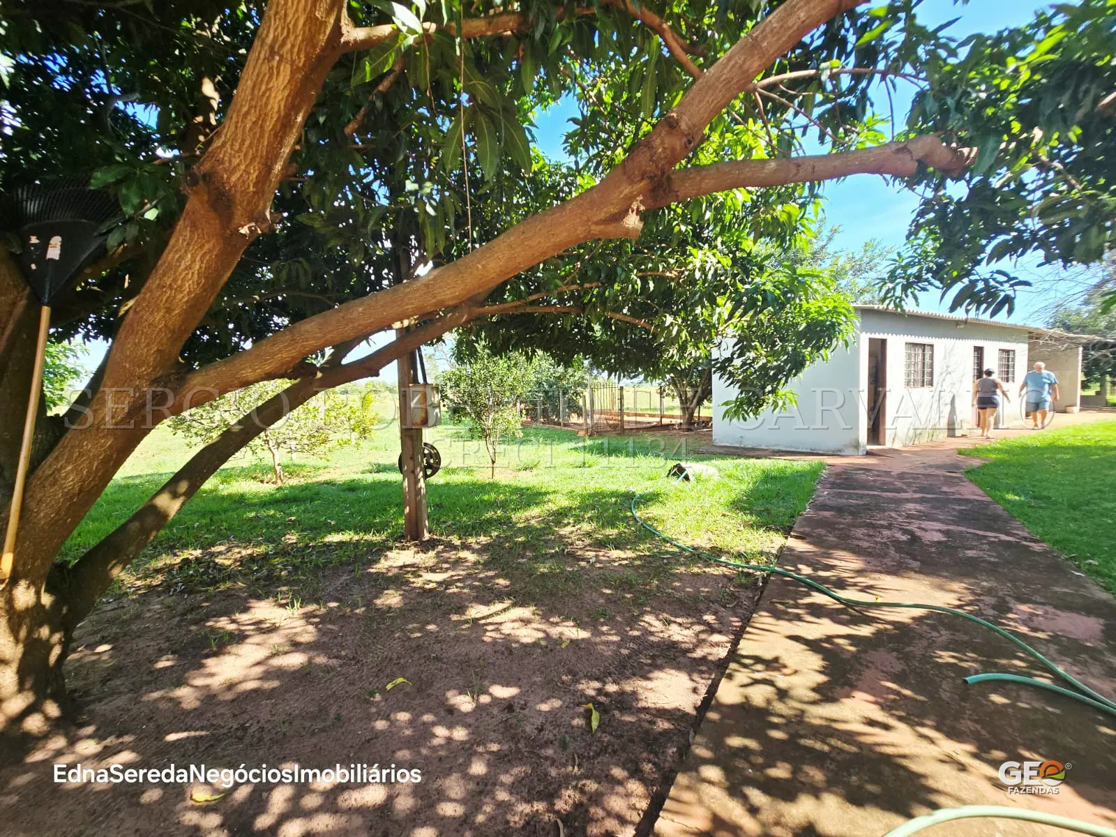 Casa rural com área verde e árvores frutíferas