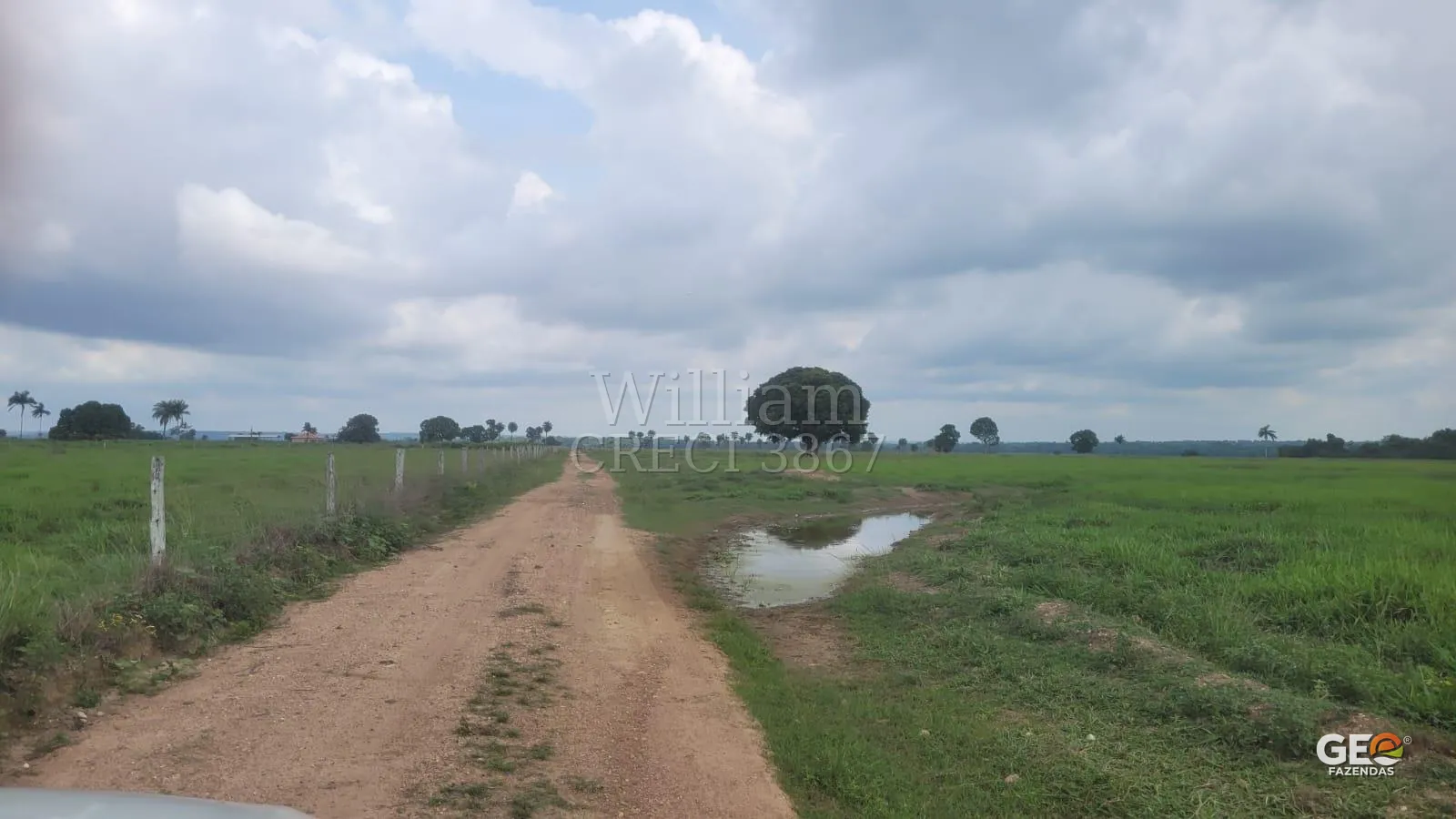 Estrada de terra em área rural com pastagem