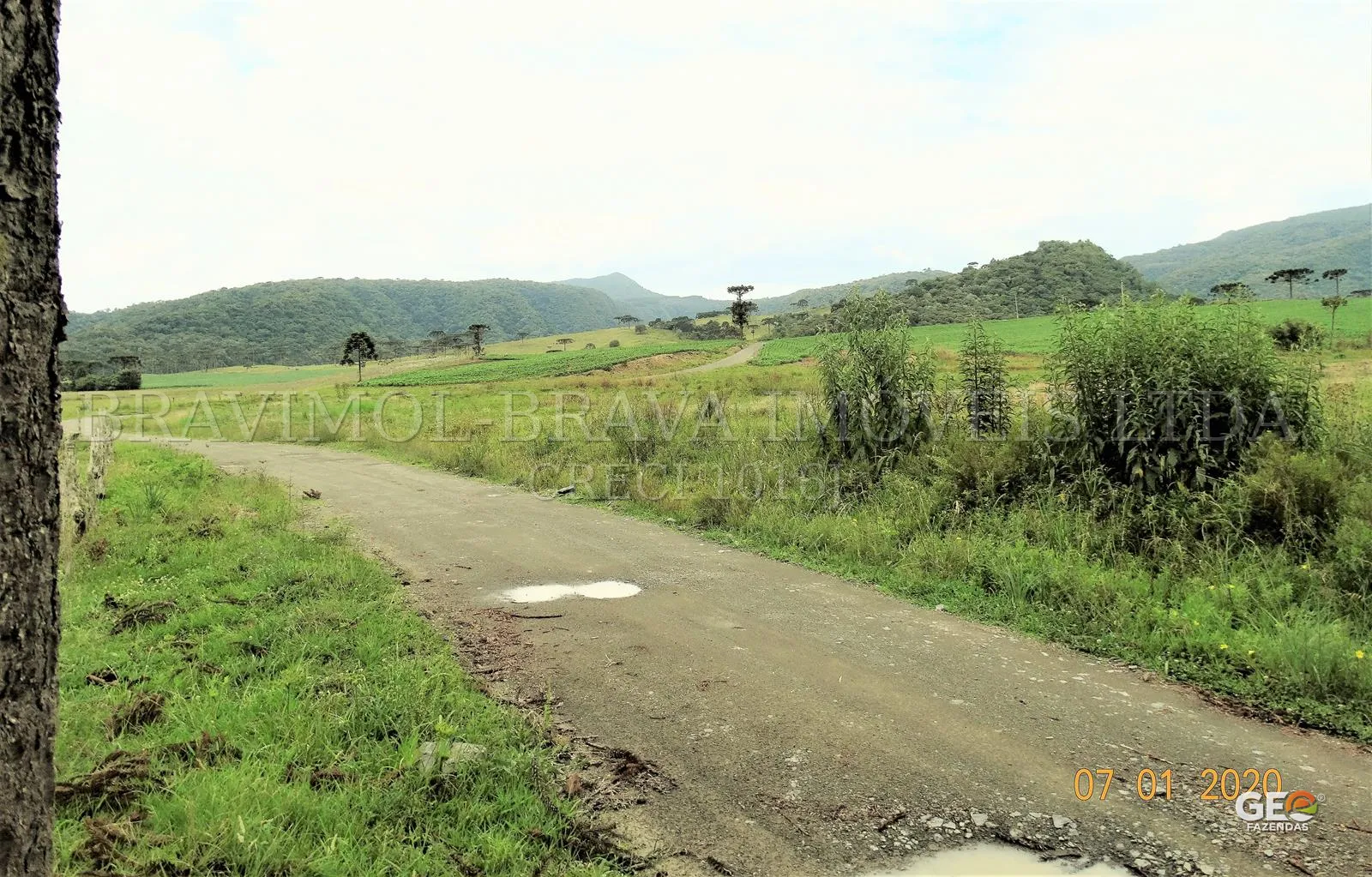 Estrada de terra em área rural com vegetação