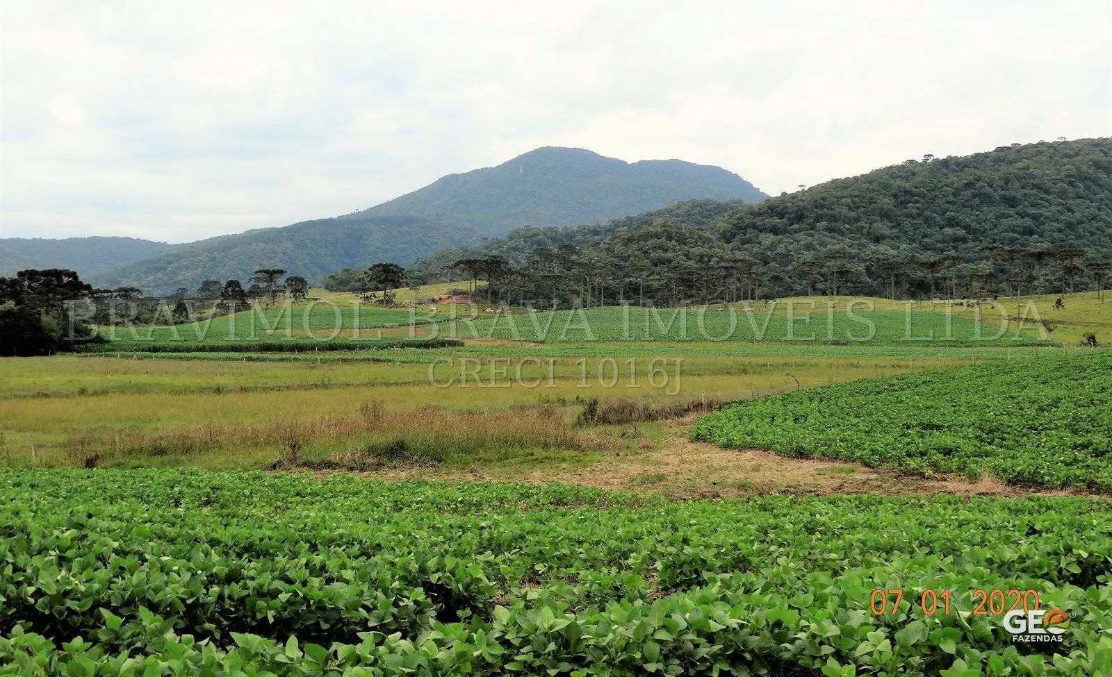 Área rural com plantações e montanhas ao fundo