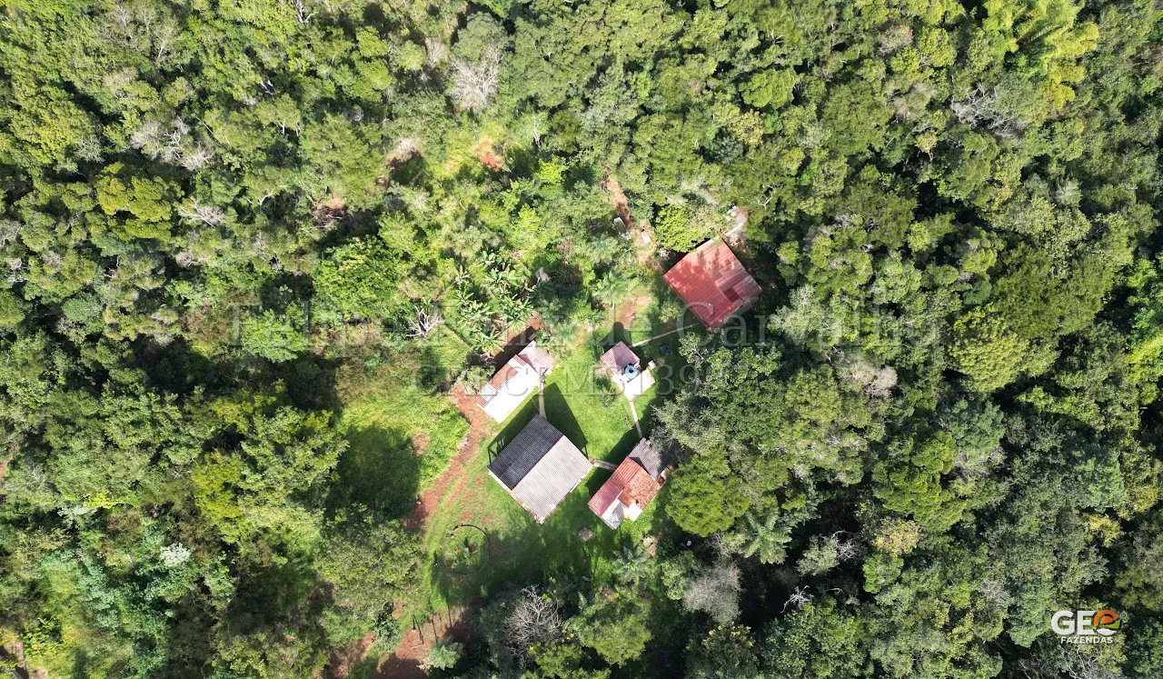 Vista aérea de propriedade rural com casas e mata