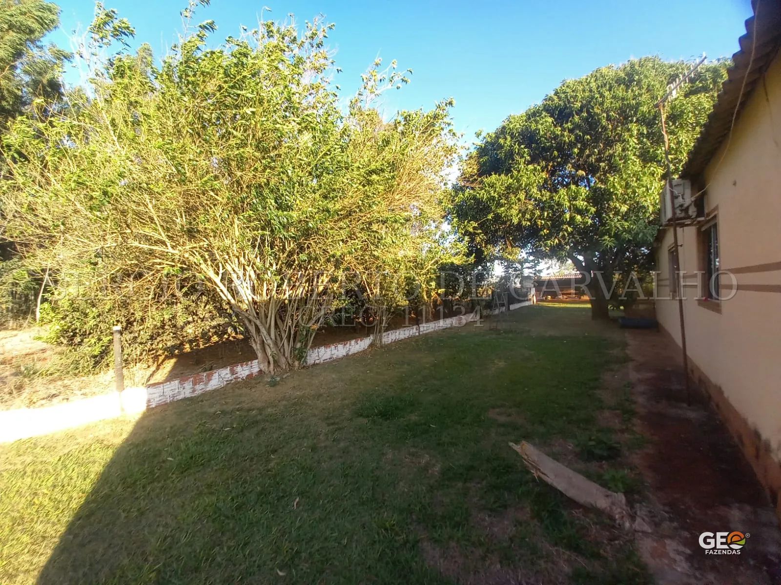 Área externa com árvores e construção rural