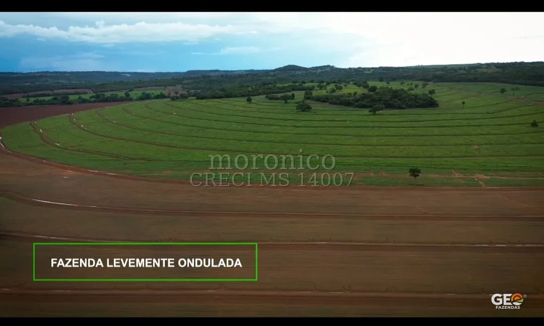 Fazenda com terreno levemente ondulado e pastagem