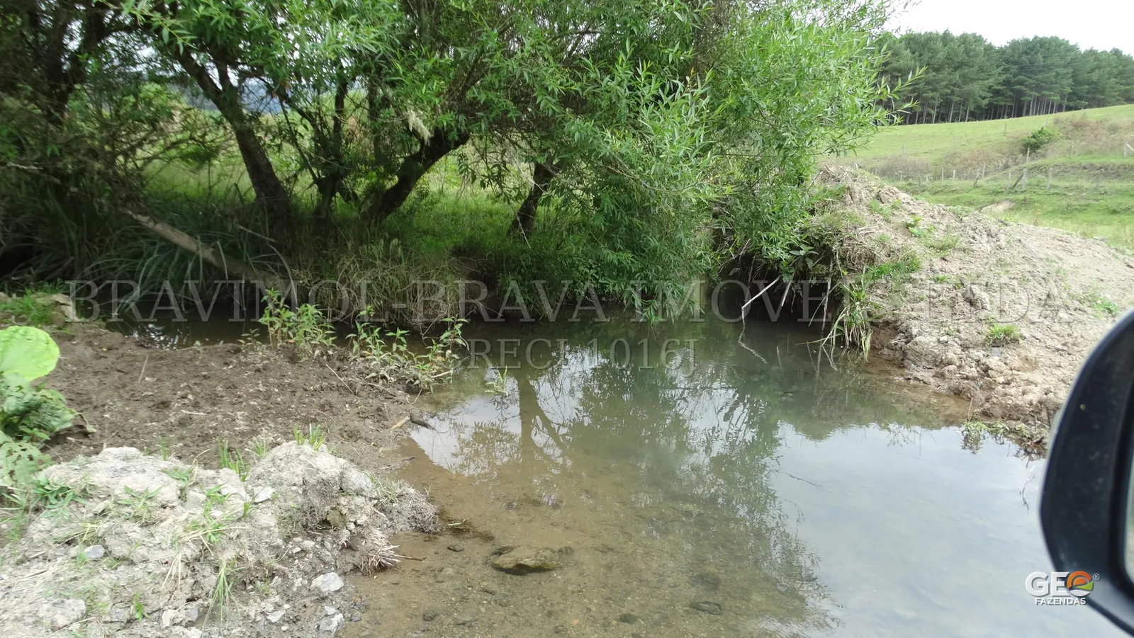 Área rural com riacho e vegetação nativa