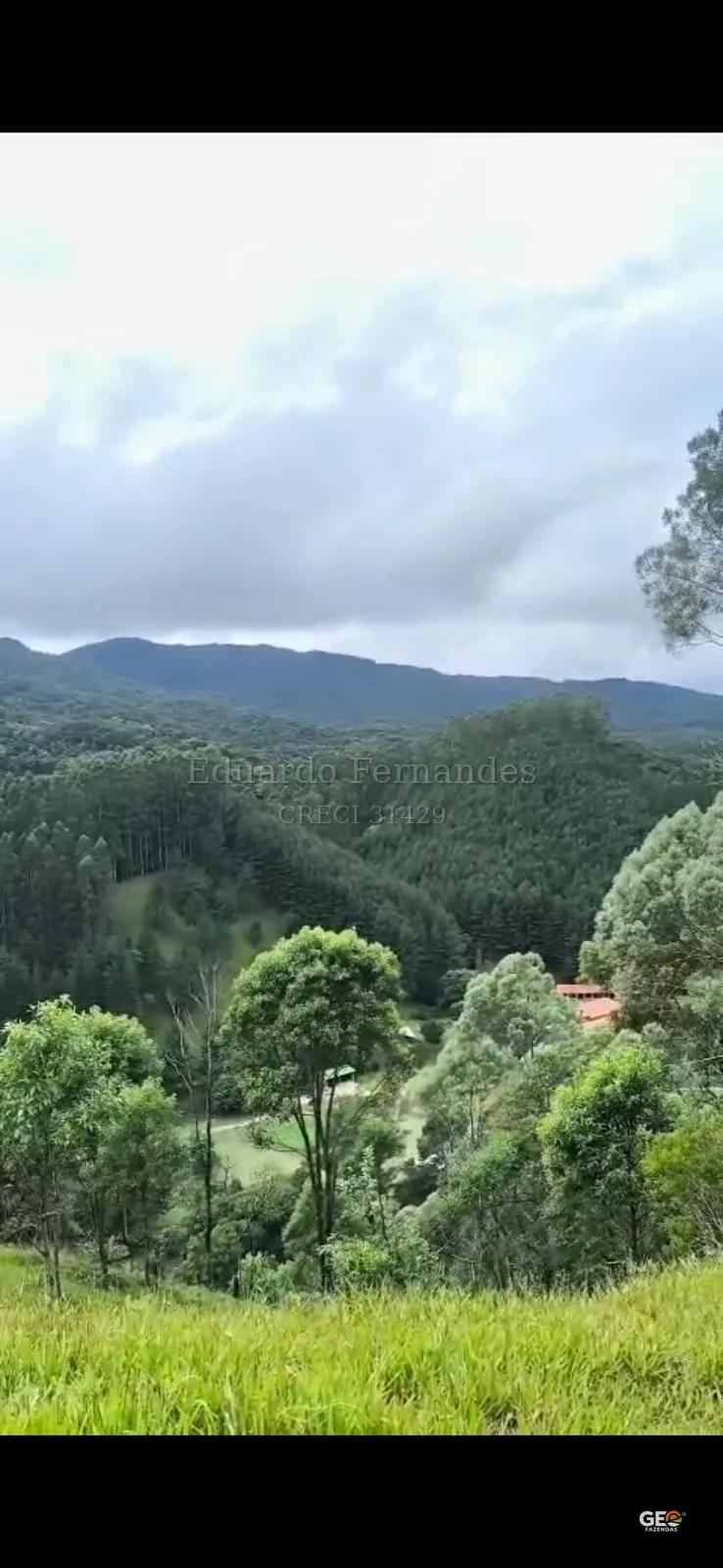 Área rural com morros e vegetação densa