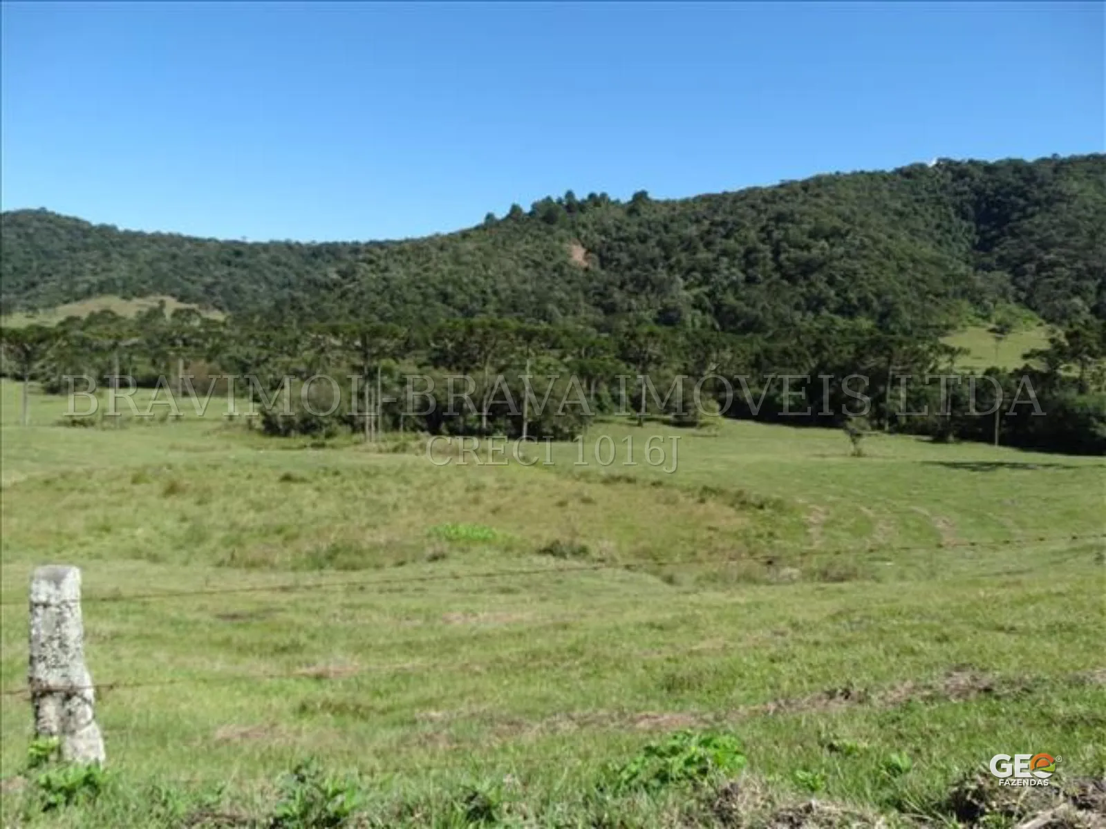 Área rural com pastagem e vegetação nativa