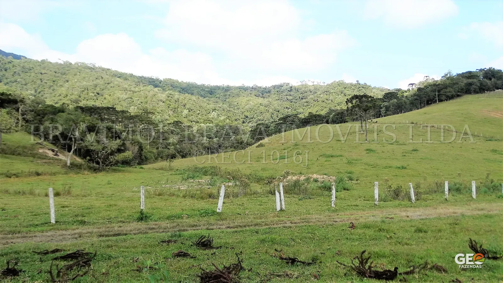 Área rural com pastagem e vegetação nativa