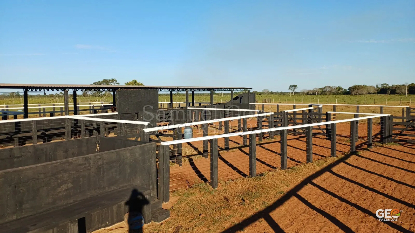 Curral com estrutura para manejo de gado