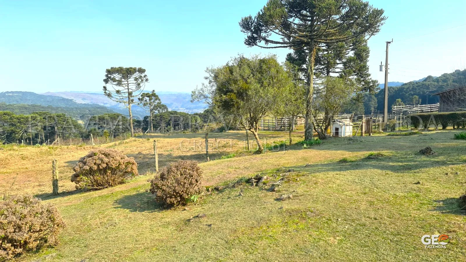 Área rural com árvores e cercas naturais