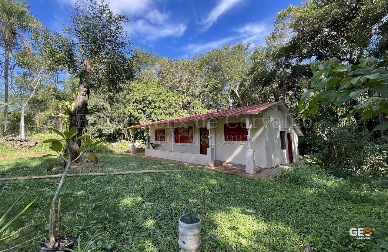 Casa simples em área rural com vegetação