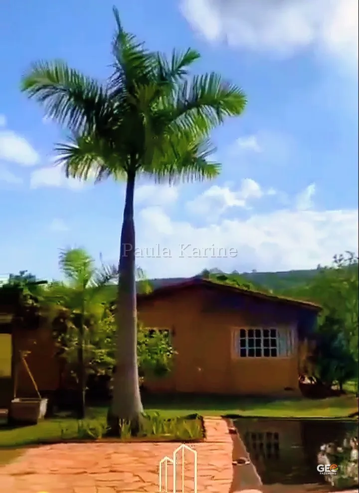 Casa rural com palmeira e área externa