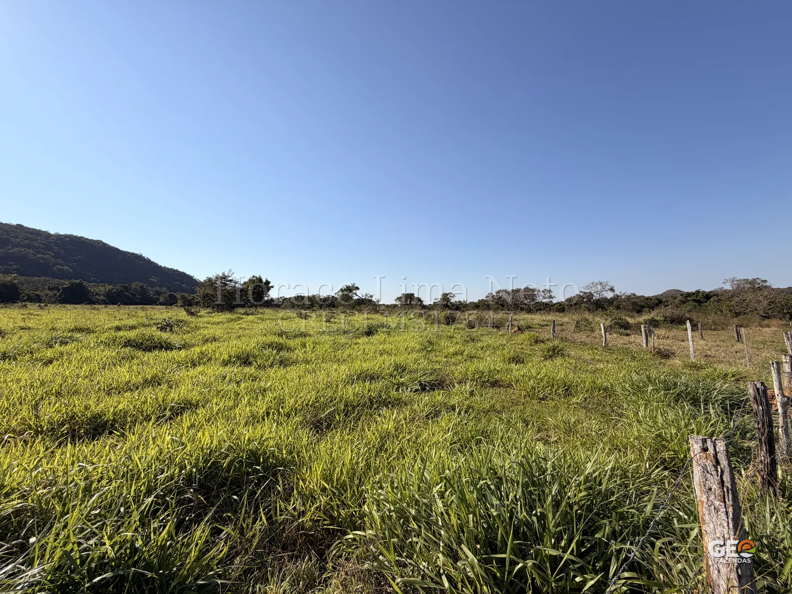 Campo aberto com pastagem e cercas de madeira