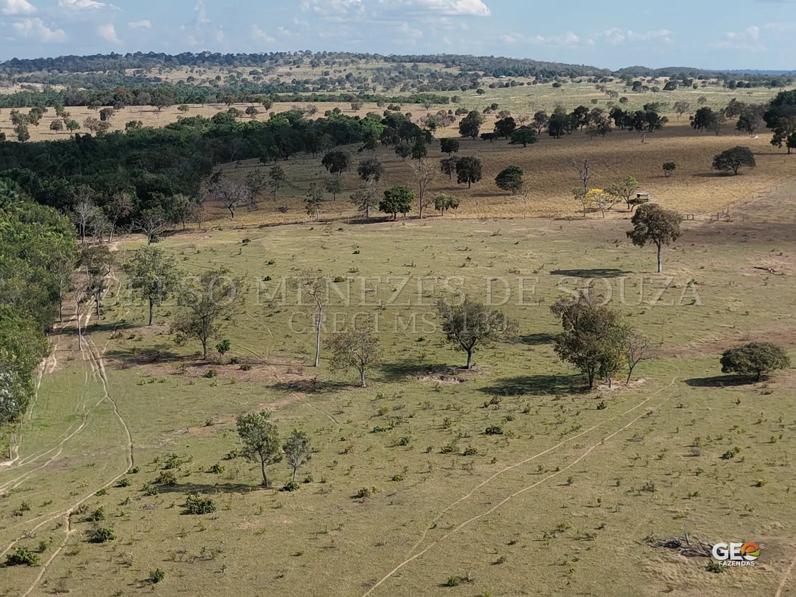 Vista panorâmica de área rural com pastagem e árvores