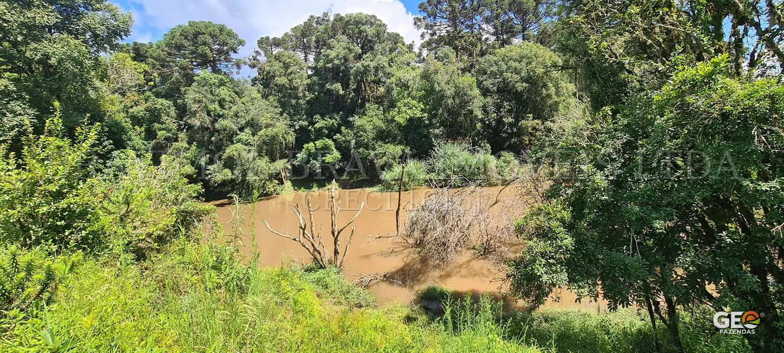 Área rural com rio e vegetação densa