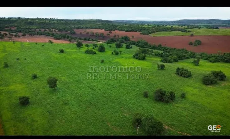 Área rural com pastagem e vegetação dispersa