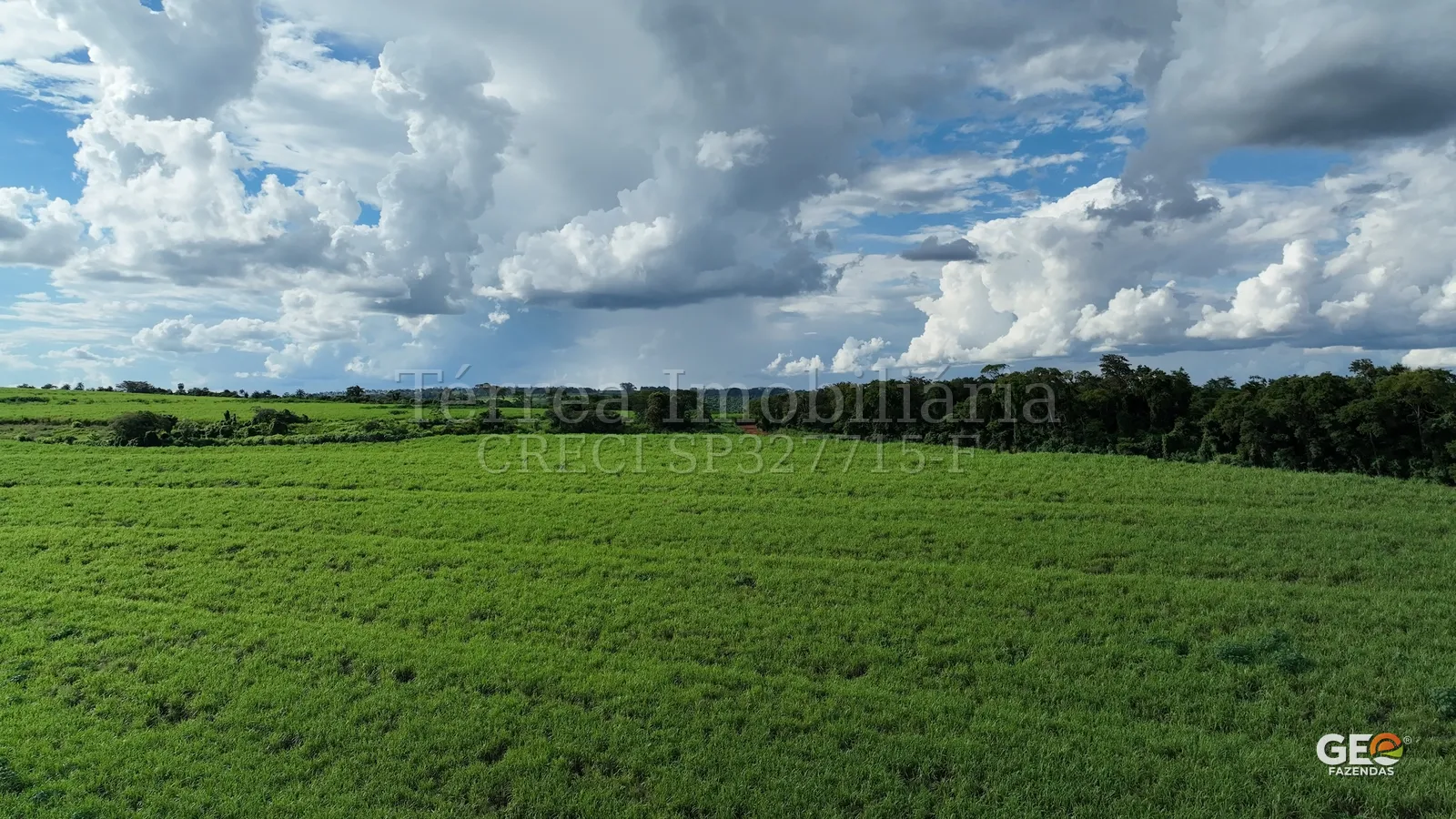 Área rural com pastagem verde e céu nublado
