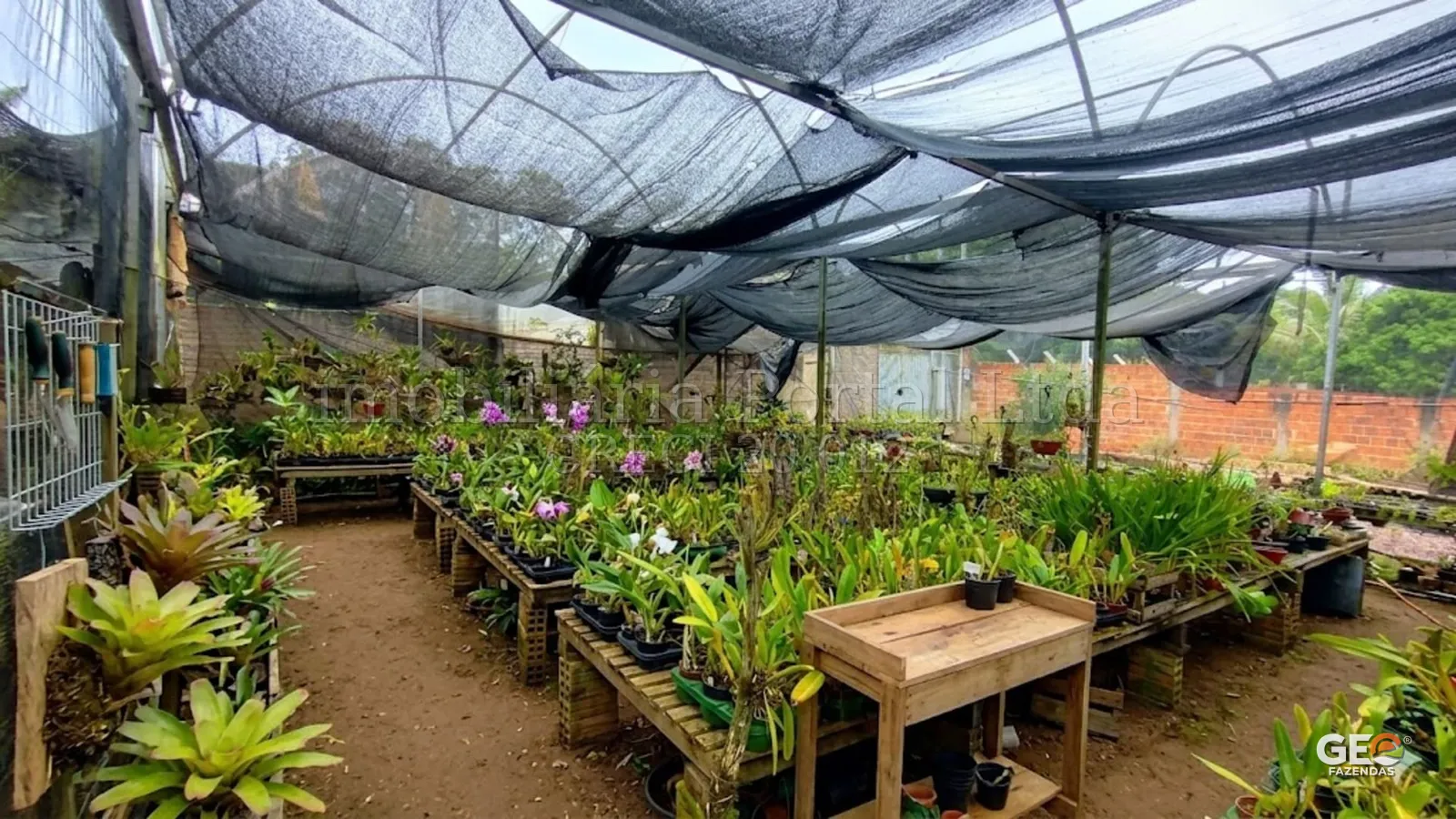 Viveiro de plantas em área rural coberta por sombrite