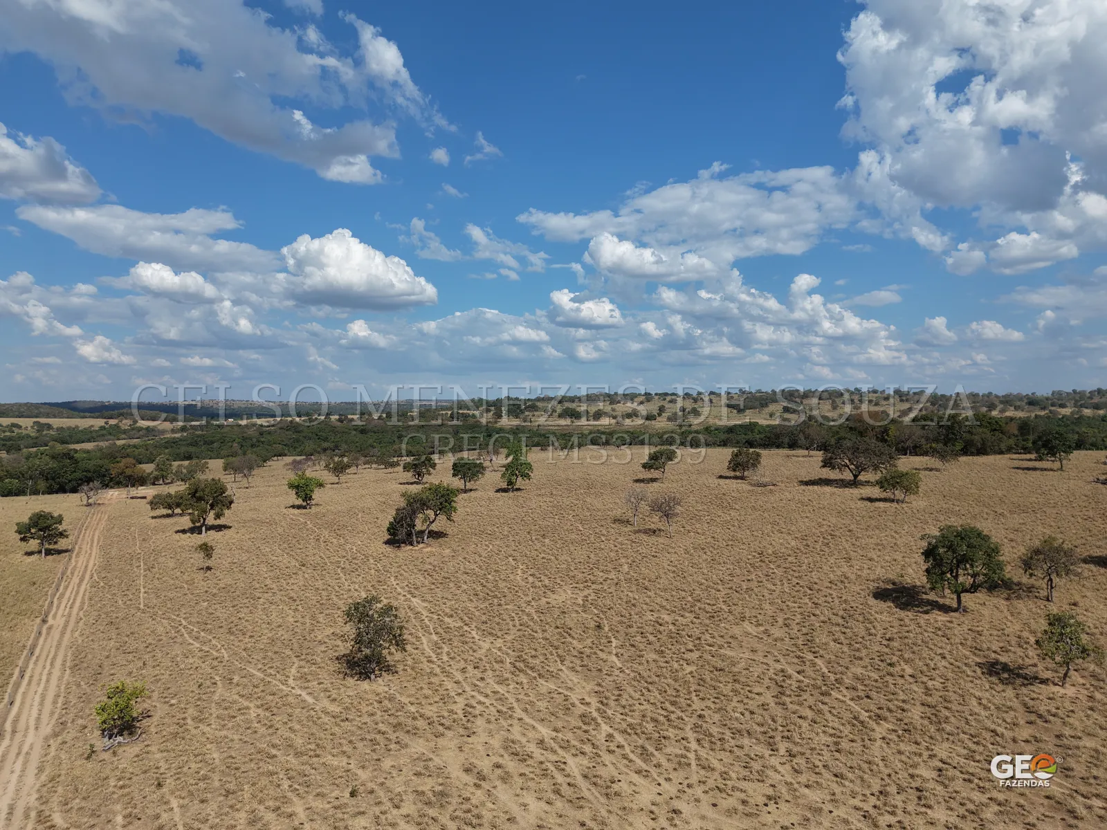 Área rural com vegetação e céu azul