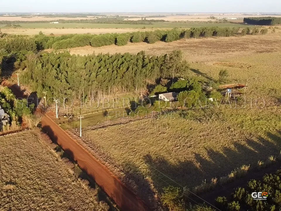 Vista aérea de propriedade rural com plantação e estrada