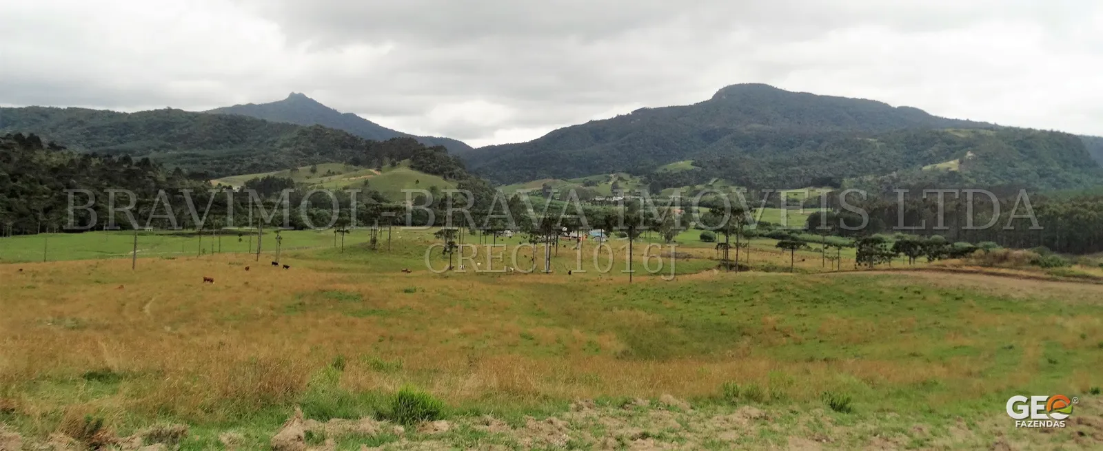 Área rural com pastagem e montanhas ao fundo