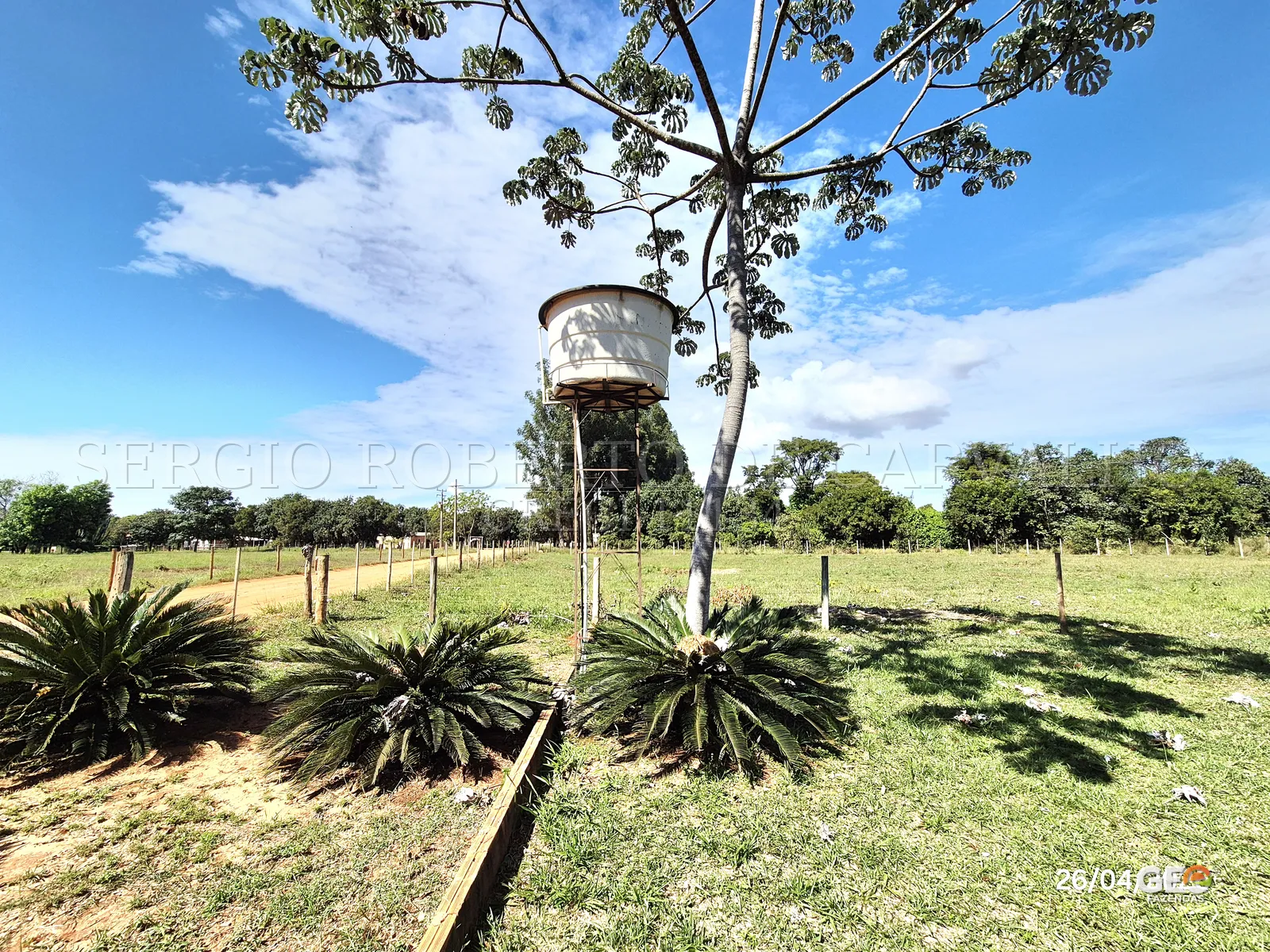 Tanque elevado e vegetação em propriedade rural