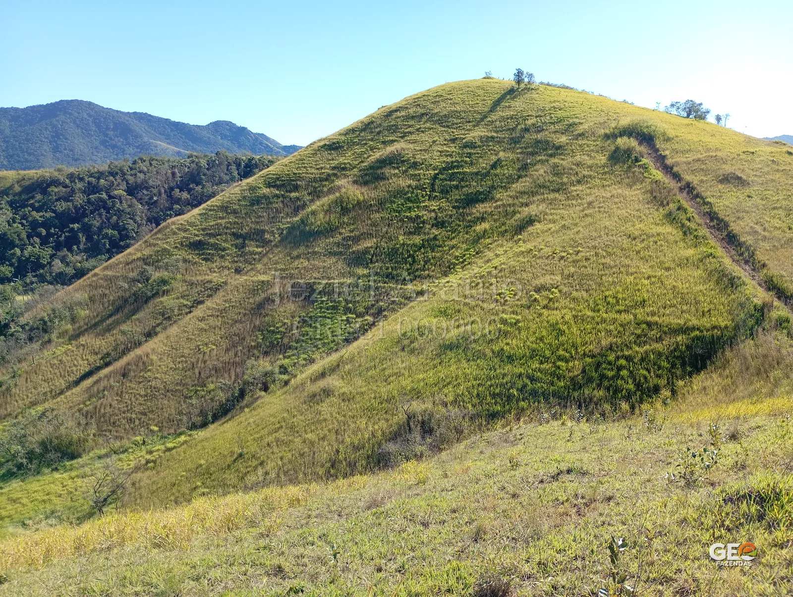 Colina com vegetação em terreno rural