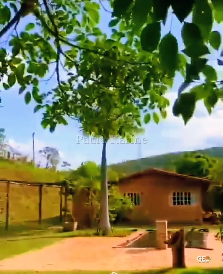 Casa simples em área rural com árvores