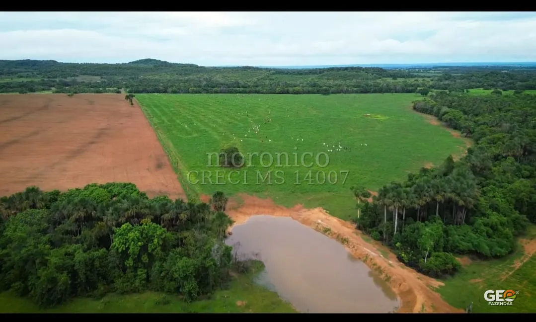 Área rural com pastagem, mata e açude