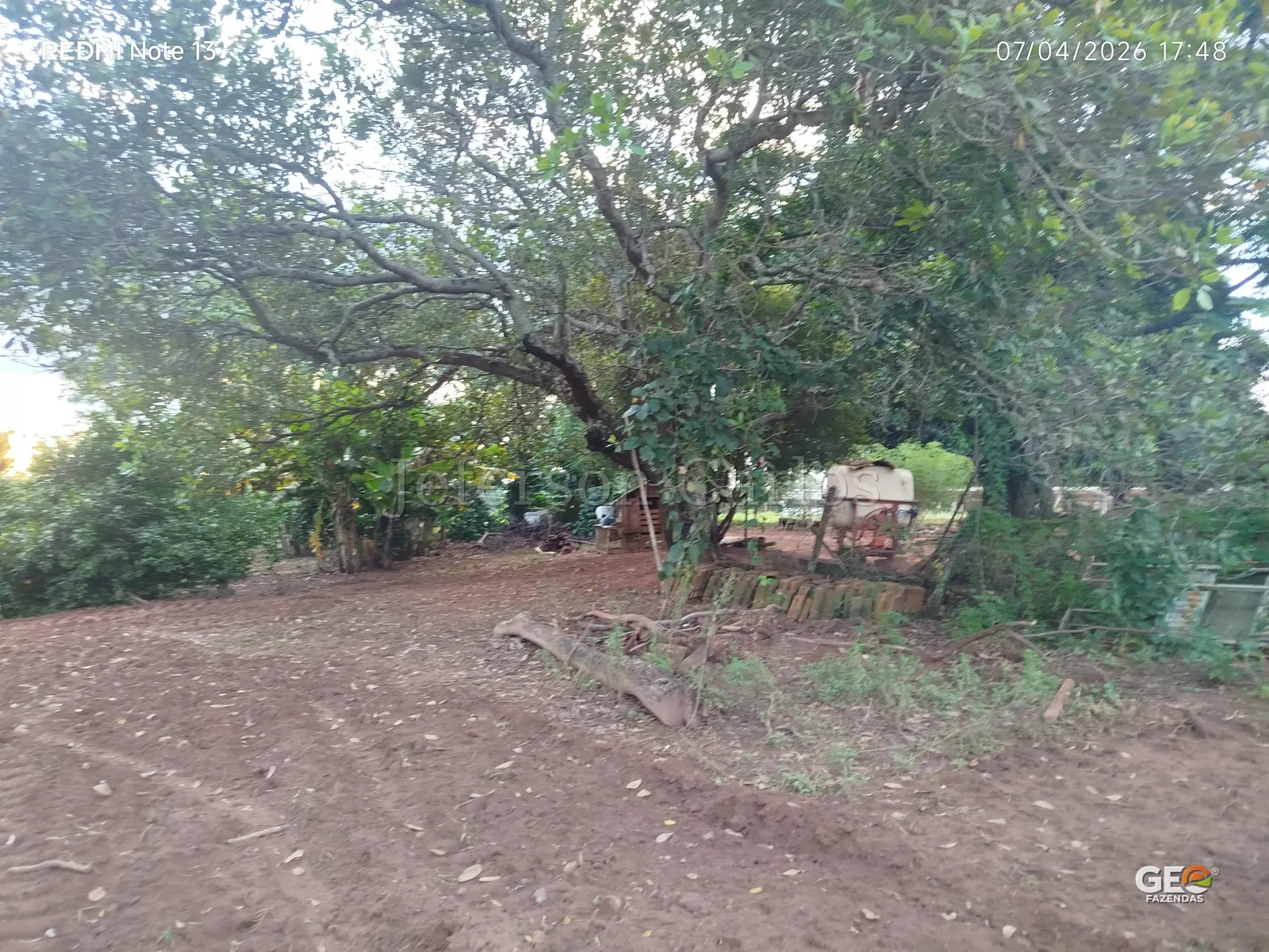 Área rural com árvores e estrutura simples
