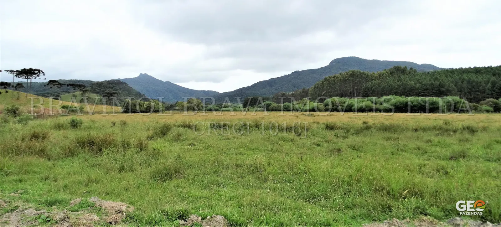 Campo aberto com montanhas ao fundo