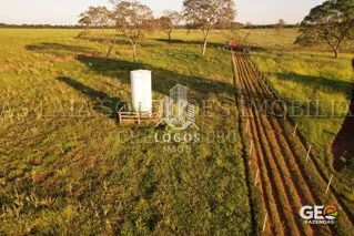 Área de pastagem com tanque e cercas