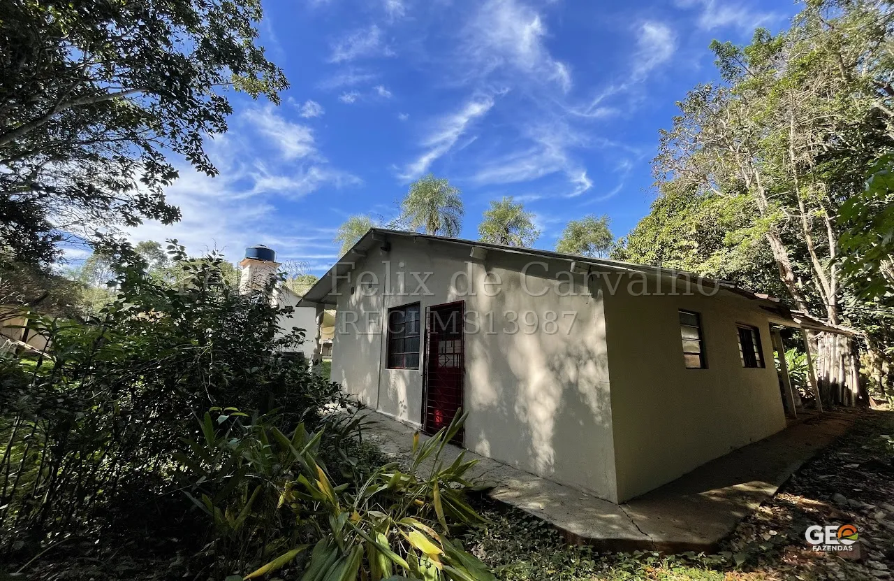 Casa simples em área rural com vegetação