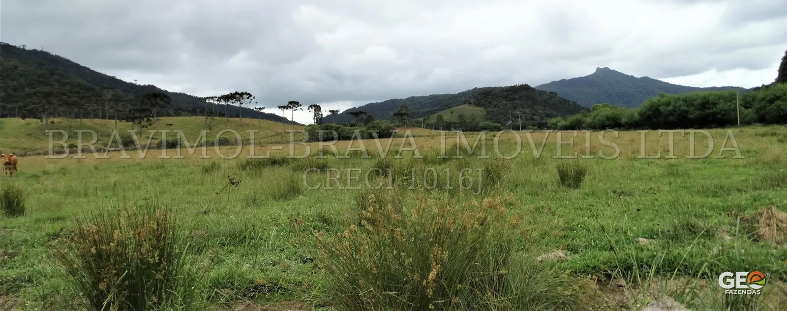 Terreno rural com pastagem e montanhas ao fundo