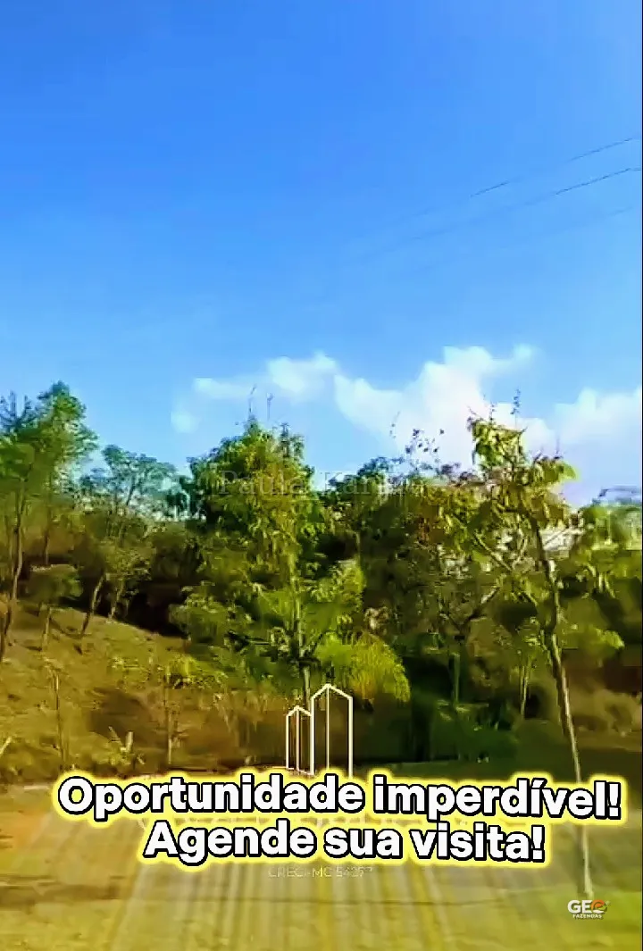 Terreno rural com árvores e céu azul