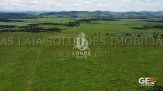 Vista aérea de grande área de pastagem verde