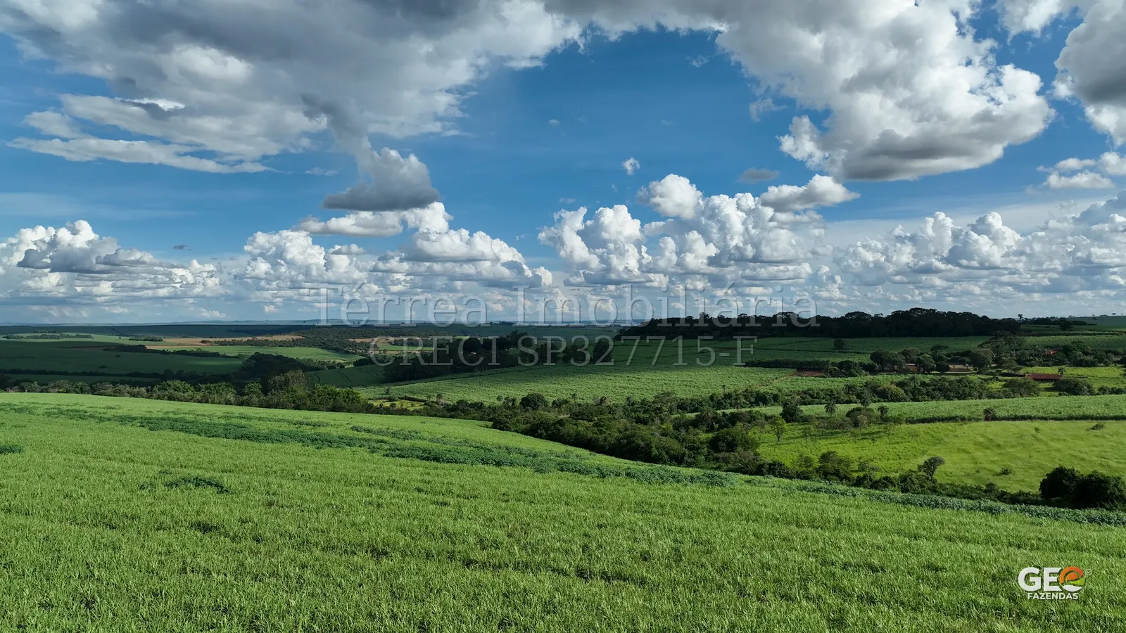 Vista panorâmica de área rural com pastagem verde