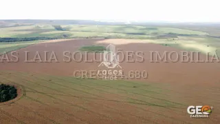 Área agrícola com plantação vista aérea