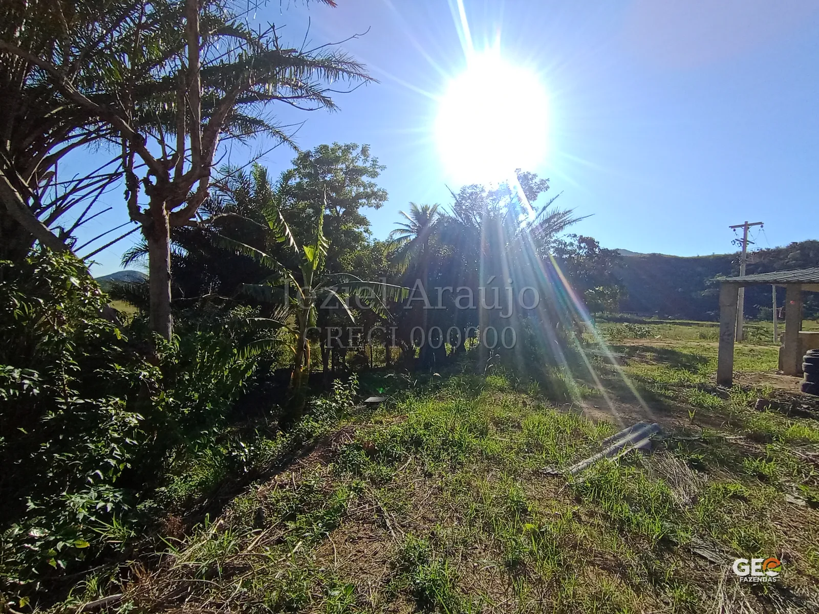 Área rural com vegetação e construção simples