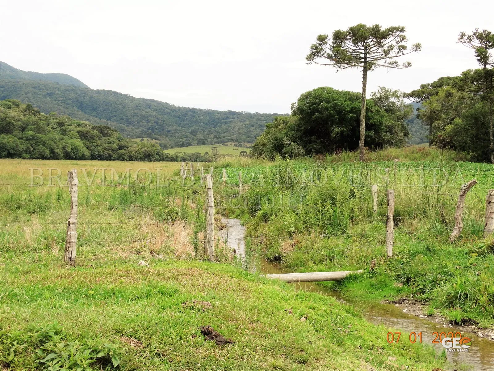 Área rural com pastagem, cerca e riacho