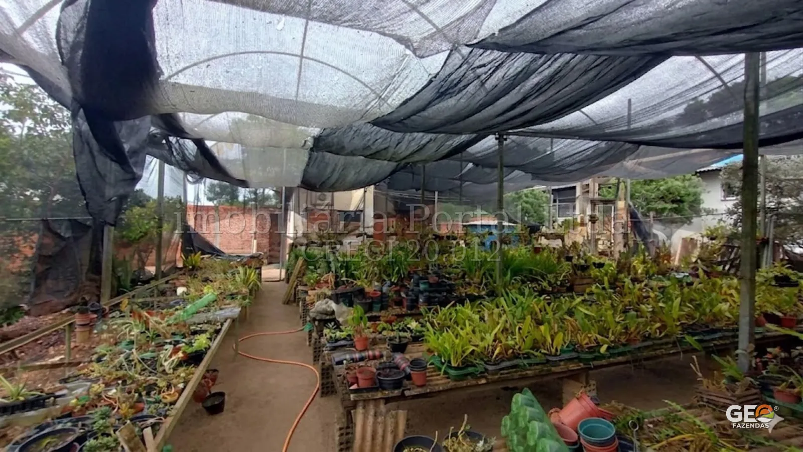 Viveiro de plantas em área rural coberta por tela