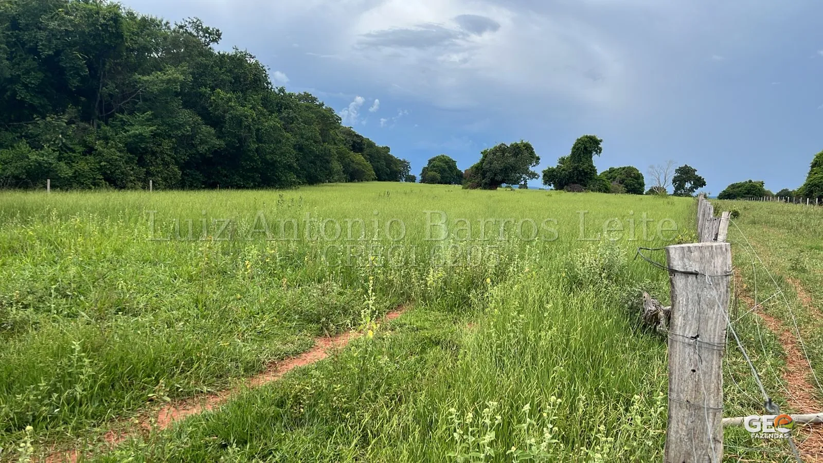 Terreno rural com cerca e vegetação verde