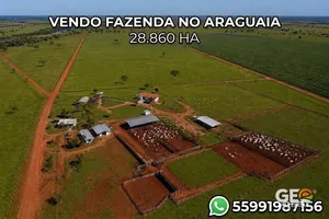Fazenda em São Félix do Araguaia - MT