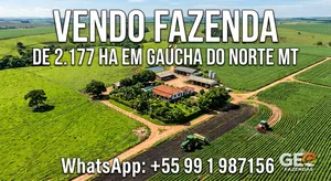 Fazenda em Gaúcha do Norte - MT