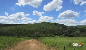 Fazenda em Rio Claro - SP
