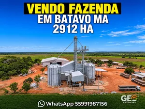 Fazenda em Balsas - MA