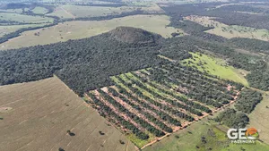 Fazenda em Aquidauana - MS