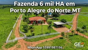 Fazenda em Porto Alegre do Norte - MT