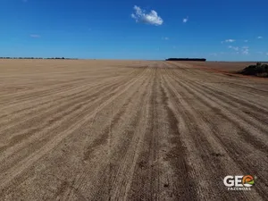 Fazenda em Confresa - MT