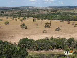 Fazenda em Alcinópolis - MS