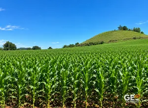 Sítio em Iraí - RS